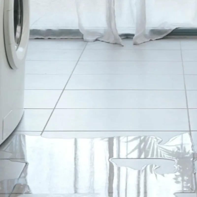 Appliance Leak Cleanup in Plain City, UT
